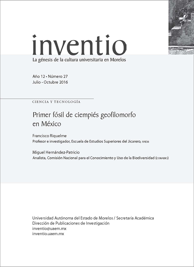 Primer fósil de ciempiés geofilomorfo en México